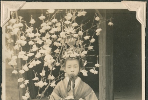 Portrait of Kiku Fujii (ddr-densho-321-920)