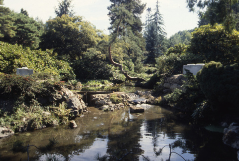 Looking upstream at site of Heart Bridge, which is being replaced (ddr-densho-354-2036)