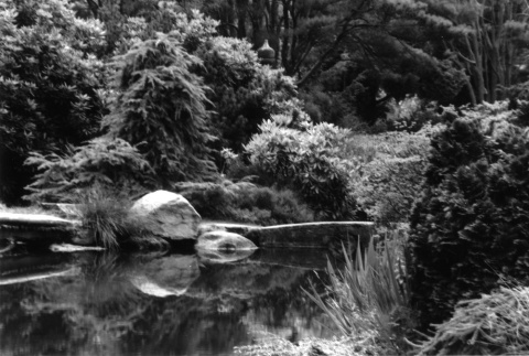 Japanese Garden Pond I (ddr-densho-354-693)