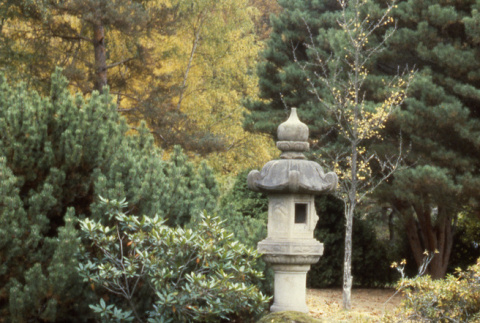Japanese garden lantern and pond (ddr-densho-354-1973)