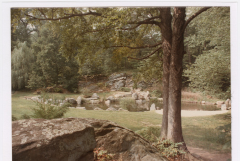 Pond (ddr-densho-377-2045)
