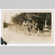 Ostrich-drawn carriage (ddr-densho-480-76)