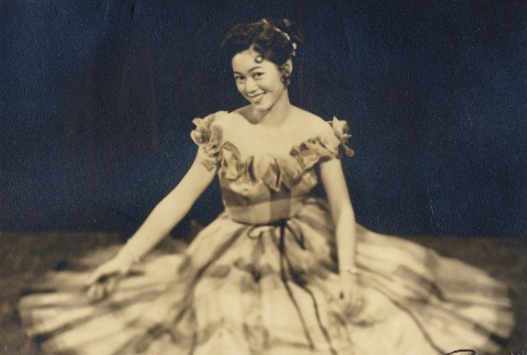 Portrait of a woman seated in formal dress (ddr-njpa-2-486)