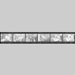 Negative film strip for Farewell to Manzanar scene stills (ddr-densho-317-116)