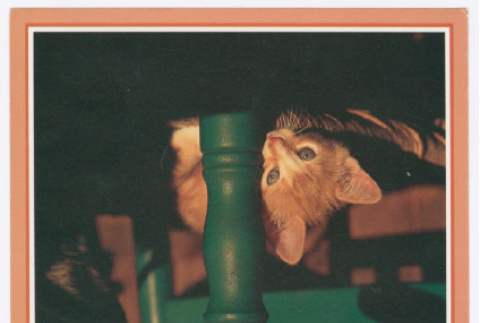 Greeting card (ddr-densho-540-165)