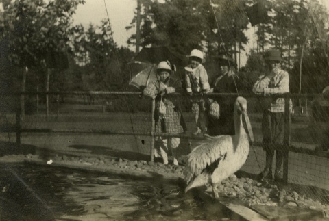 Japanese American children at the zoo (ddr-densho-182-163)