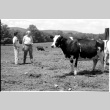 William Kochiyama and Robert H. Foote with cows (ddr-densho-1007-1362)