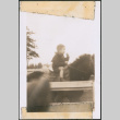 Boy on a pony (ddr-densho-483-1090)