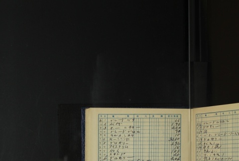 Page 399 (ddr-densho-255-18-master-880f25f0c2)