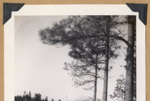 Snowy landscape (ddr-densho-542-321)