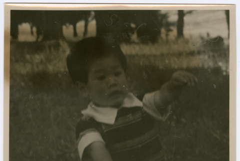 Front of photograph (ddr-densho-378-1165-mezzanine-5eddd41cff)