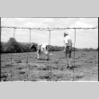 Robert H. Foote with cow (ddr-densho-1007-1245)