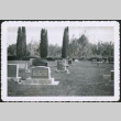 Cemetery and grave maker for Tora Migita (ddr-densho-293-188)