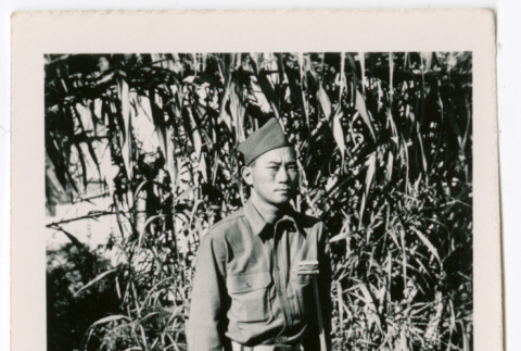 Unidentified military man standing in front of corn (ddr-densho-475-411)