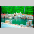 Pool with rock feature (ddr-densho-377-2608)