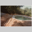 Pool with landscaping under construction (ddr-densho-377-2462)