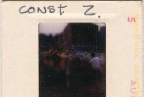Front and back (ddr-densho-377-906-mezzanine-f975af307c)