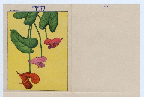 Card to Henrietta Schoen from Kagumi Matsumoto (ddr-densho-223-66)