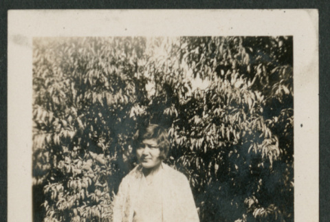 woman standing under tree (ddr-densho-378-743)