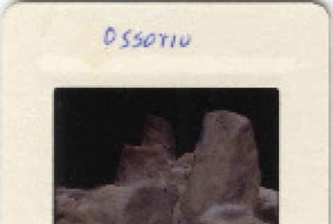 Front and back (ddr-densho-377-499-mezzanine-65909608c0)