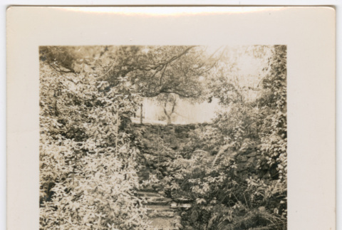 Stone steps (ddr-densho-377-2254)