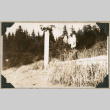 Totem pole and Russian Church (ddr-densho-383-248)
