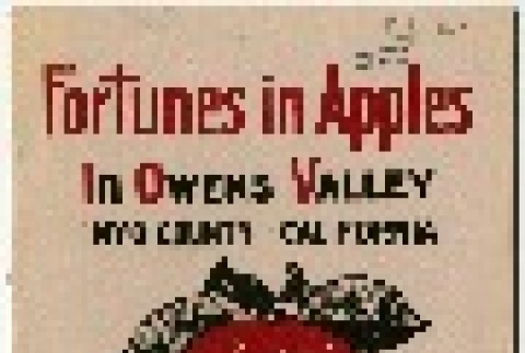Fortunes in Apples in Owens Valley (ddr-densho-342-9)