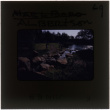 Rocks and pond at the Albertson project (ddr-densho-377-822)