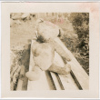 Teddy bear on pile of lumber (ddr-densho-426-1434)
