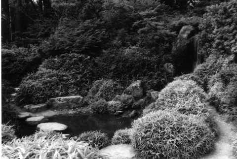 Mountainside upper waterfall pond and stepping stones (ddr-densho-354-706)