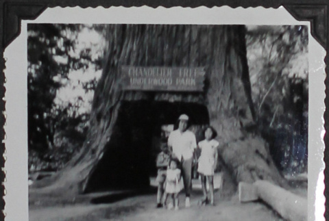A family in a park on the Redwood Highway (ddr-densho-300-479)