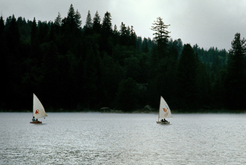 Sailboats on the lake (ddr-densho-336-399)