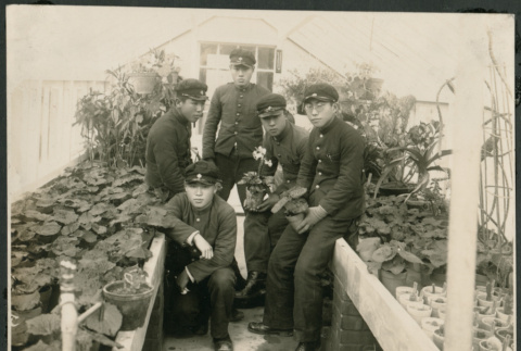 Students in greenhouse (ddr-densho-359-52)