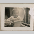 Set of four photos of baby on paper with title (ddr-densho-523-93)