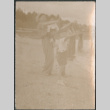 Woman and three children standing beach, pointing (ddr-densho-523-99)