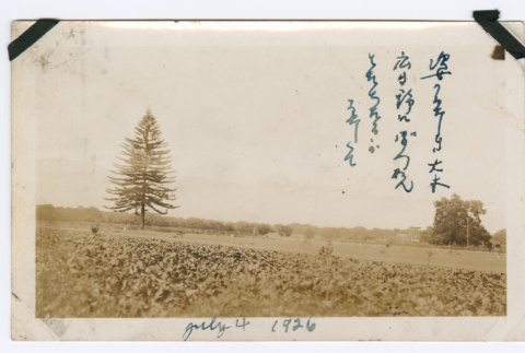 Field (ddr-densho-480-75)