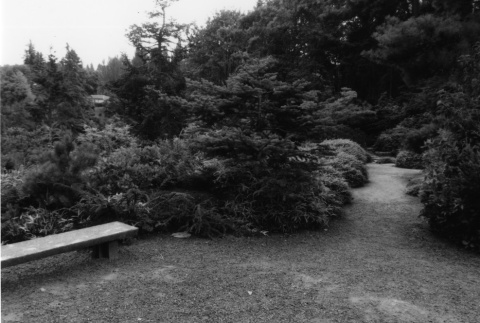 Garden bench and Overlook (ddr-densho-354-708)