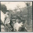 David, Chester Jr. and Gerald Sakura on slide (ddr-densho-523-158)