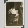 Baby in carriage (ddr-densho-355-454)