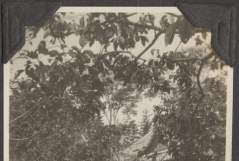 A women standing outside (ddr-densho-432-180)