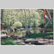 Pond and pool (ddr-densho-377-1975)