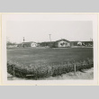 View of Canal buildings (ddr-densho-37-1055)