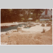 Pool under construction (ddr-densho-377-1720)