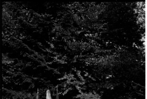 Outdoor gathering (ddr-densho-1007-1296)