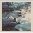 Boulders at the Brooklyn Botanic Garden (ddr-densho-377-12)