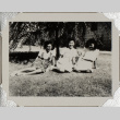 Three women sitting on lawn (ddr-densho-587-44)