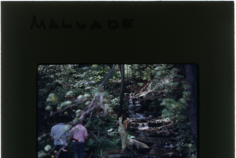 A stream at the Malavade project (ddr-densho-377-1105)