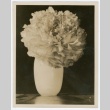 Photograph of peonies mailed to Kan Domoto (ddr-densho-329-340)