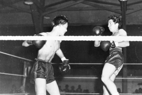 Boxing match (ddr-densho-37-231)