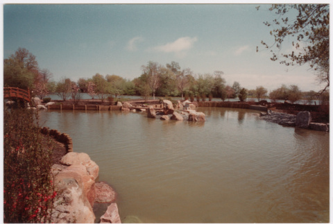 Pond (ddr-densho-377-2299)